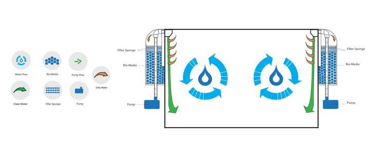 pulse160filtrationdiagram